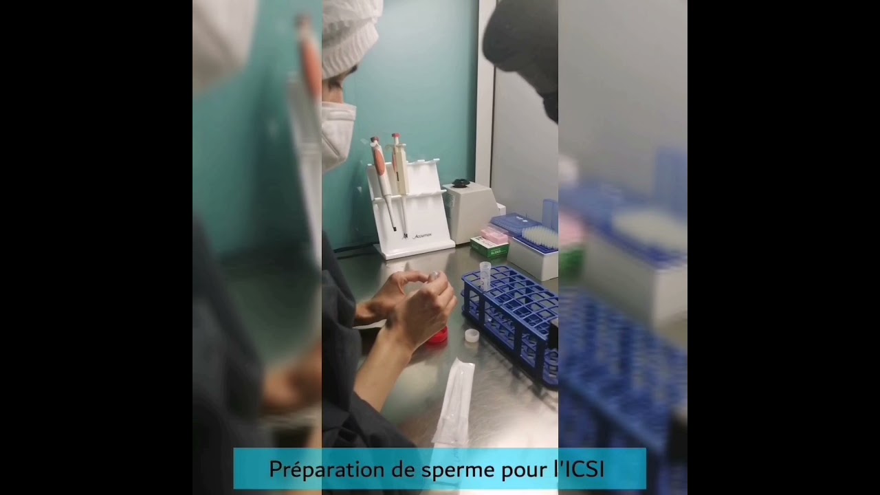 Une visite virtuelle de laboratoire PMA 🔬[CPMA HEBA]