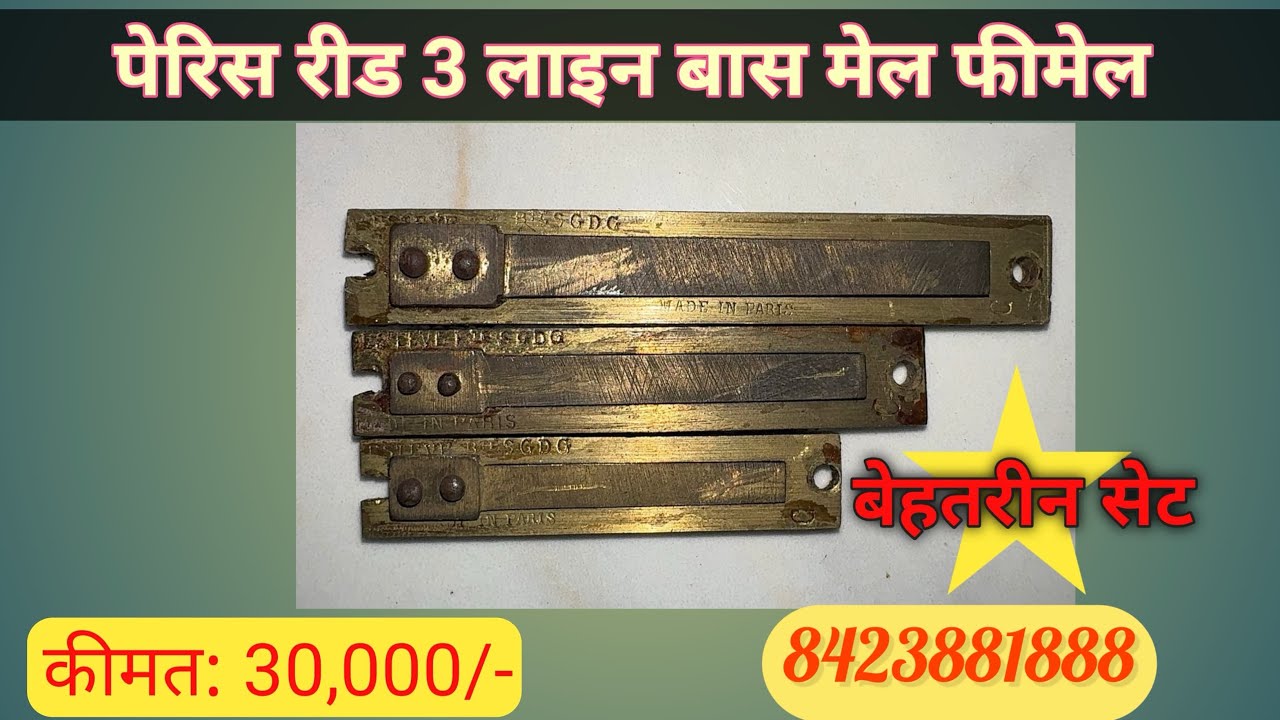 [Sold out] Original Paris Reed 3 Line Bass Male Female 42  Paris Reed for harmonium 