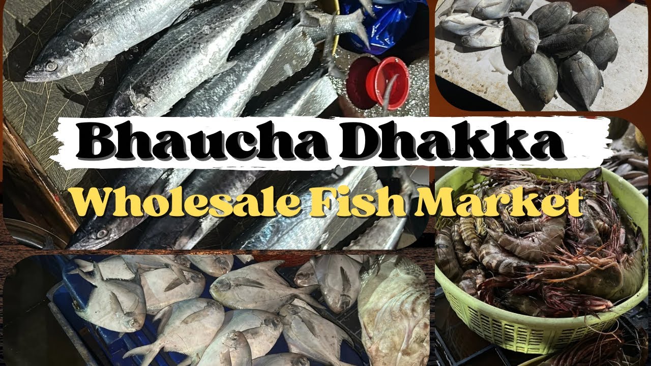 Bhaucha Dhakka Biggest Wholesale Fish Market Tour|होलसेल भउचा धक्का मच्छी मार्केट 2025|Detailed Vlog