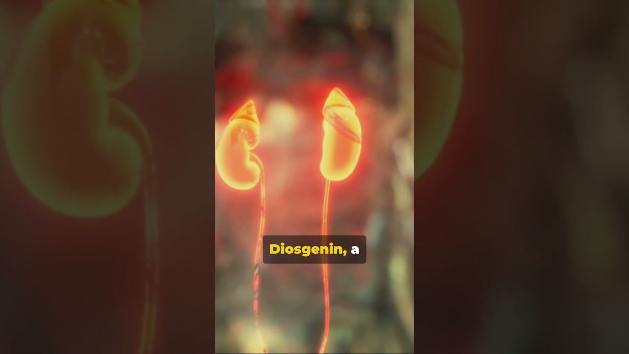 Dioscorea Opposita Thunb  A Kidney Savior 