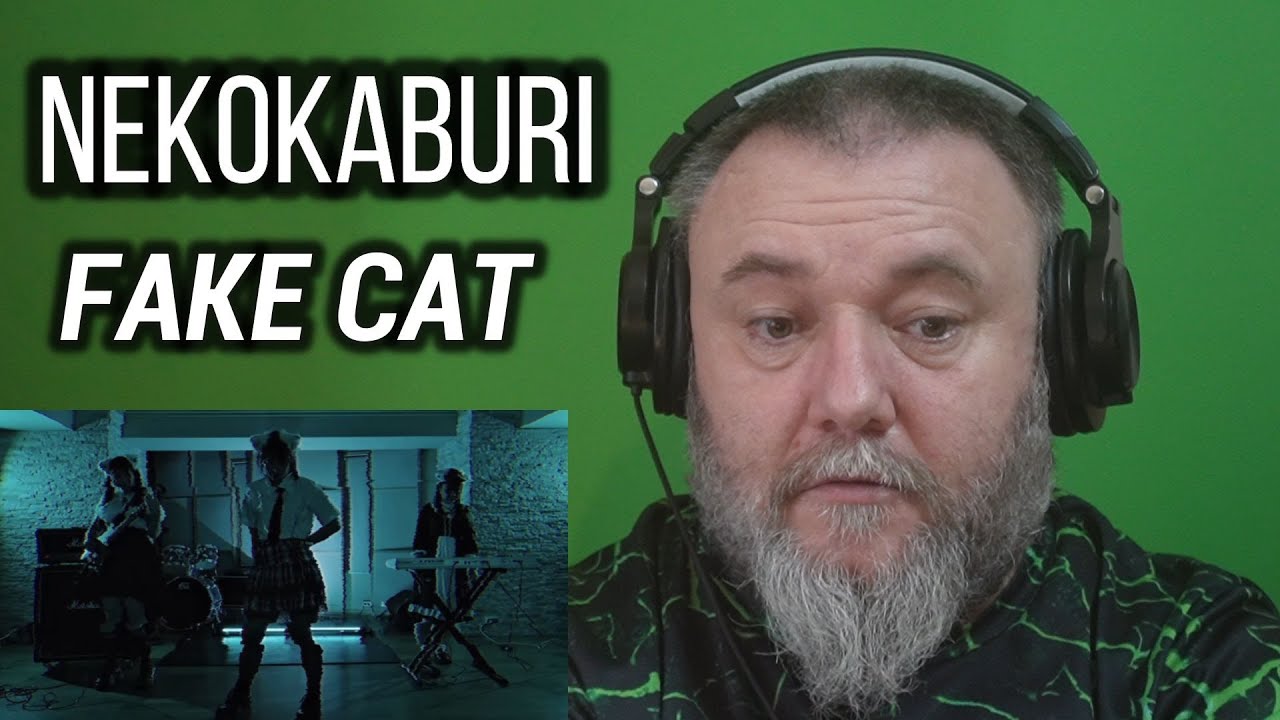 NEKOKABURI - FAKE CAT (REACTION)