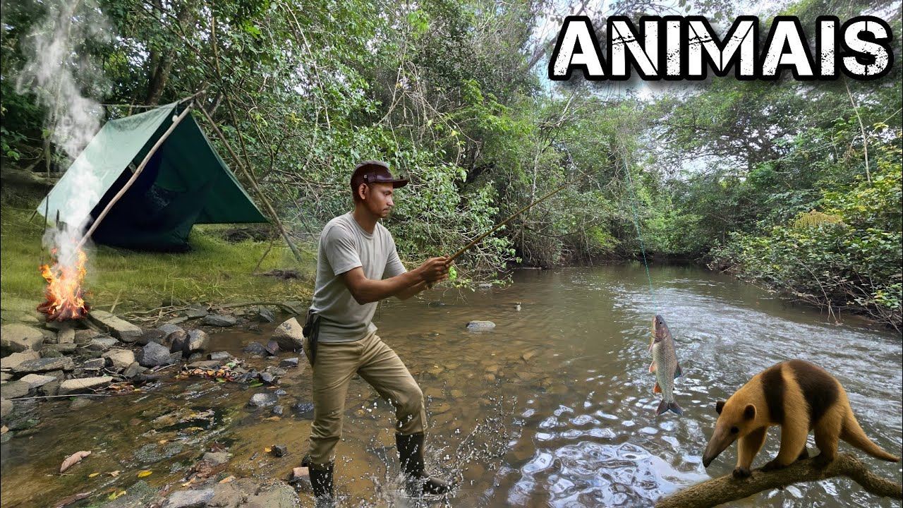 DESAFIO SELVAGEM: Acampamento na BEIRA do RIO cercado por ANIMAIS