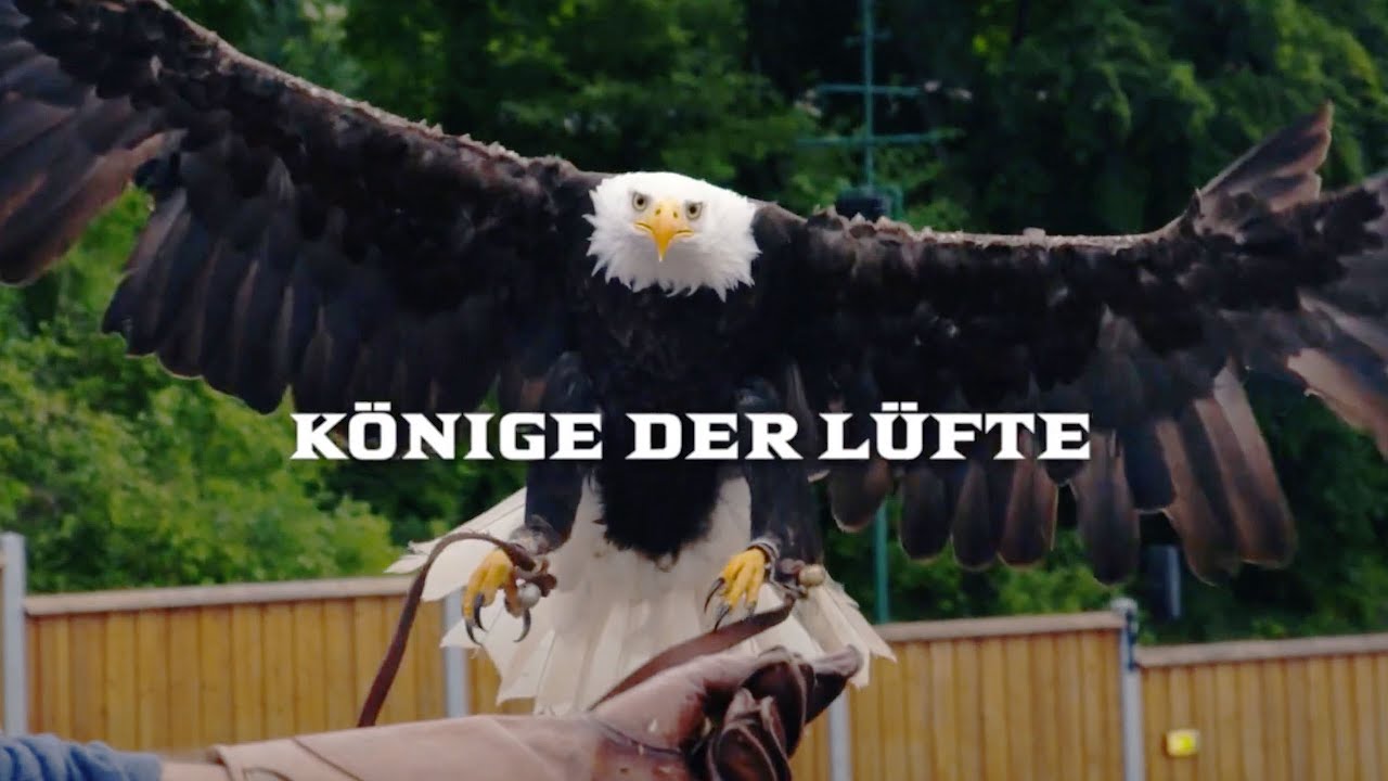 BACKSTAGE ⎮ Familienportrait ⎮ FALKNEREI WALTER ⎮ Störtebeker Festspiele ⎮ 2019