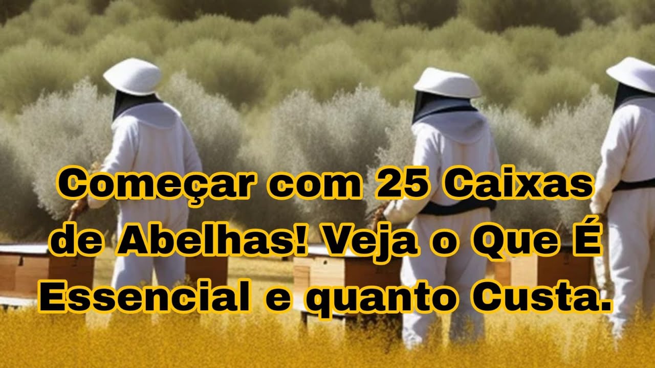 Quanto Custa Começar na Apicultura com 25 Caixas? Veja o valor REAL!
