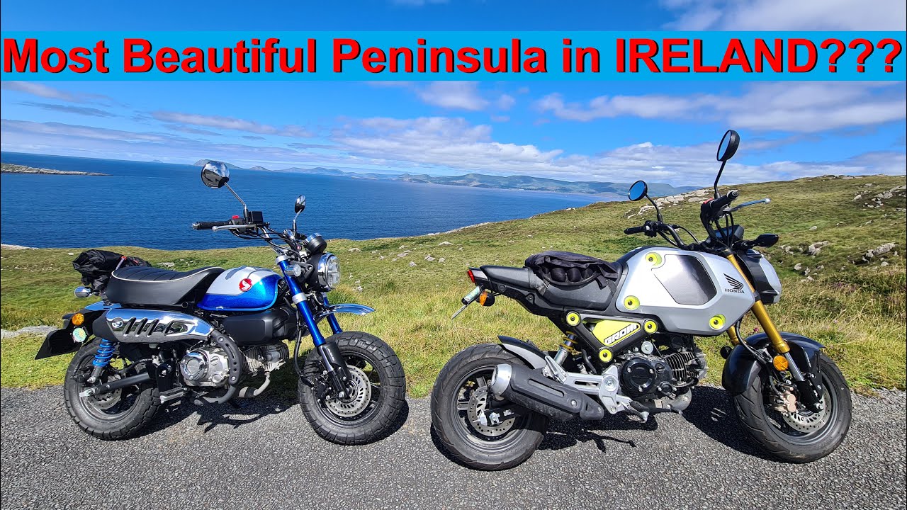 2022 Honda Grom VS Monkey