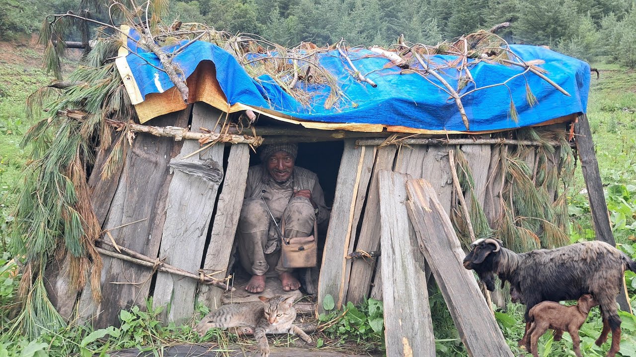 Himalayan village life during rainy day | Shepherd life simple food cooking |