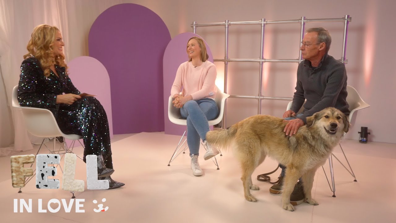 Fell in Love - Hundehelden