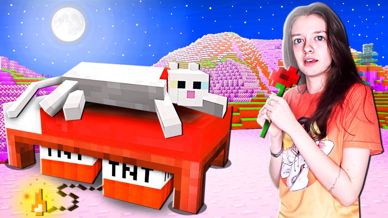 NEW CAT WORLD IN MINECRAFT!
