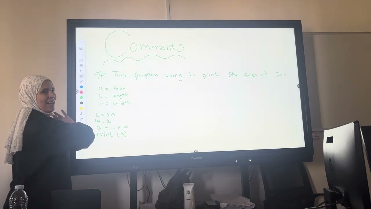 Comments (python)