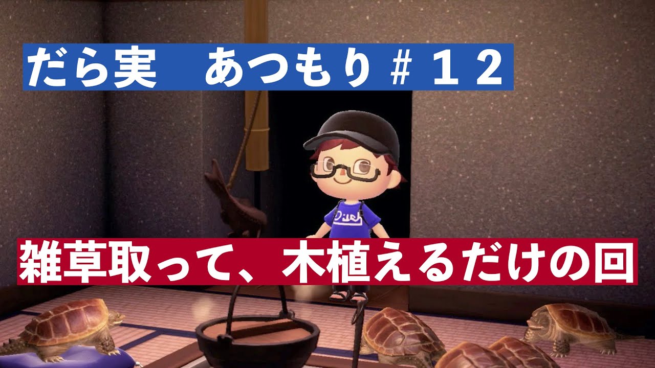 だら実『あつまれ どうぶつの森』＃１２