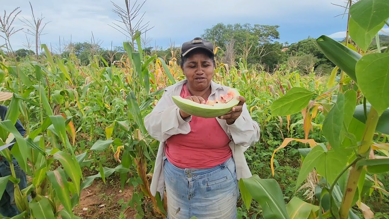 A mulher do facão apareceu Na roça! interior de Minas 
