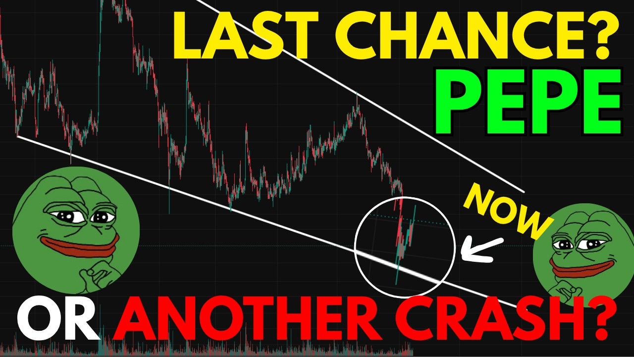PEPE CRASH &mdash; Is This the Last Chance to Buy Before the Breakout?