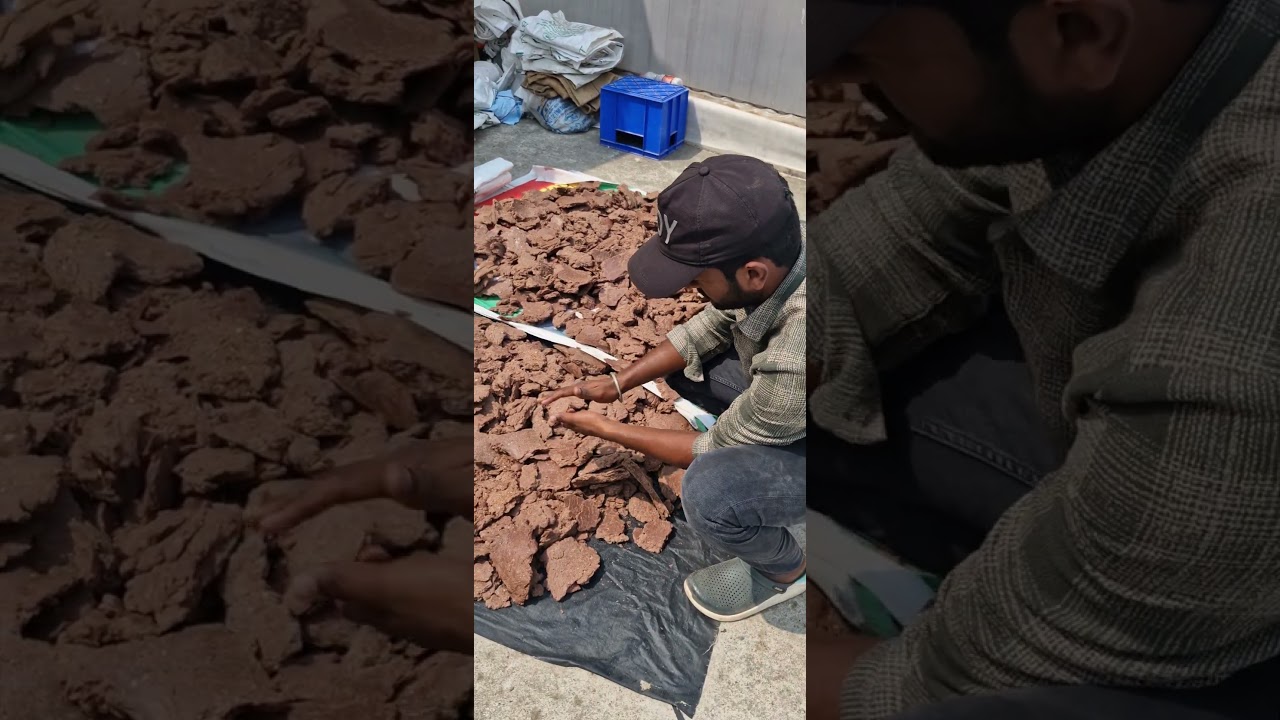 Benefits of groundnut cake #animals #agriculture #industrial