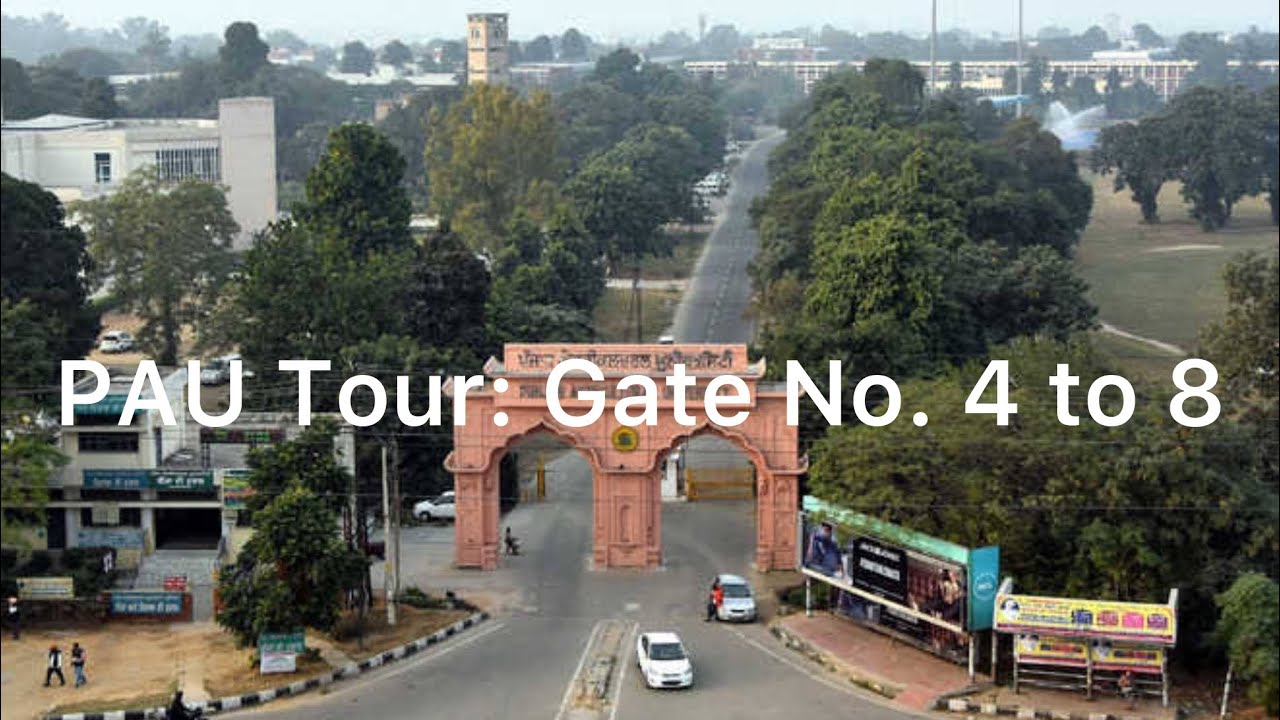PAU Tour: Gate No. 4 to 8 || PAU Ludhiana || Farming || Agriculture