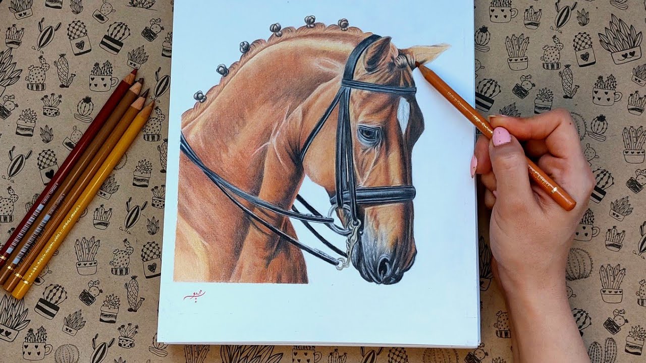 how to draw a horse . painting brown horse with colored pencil