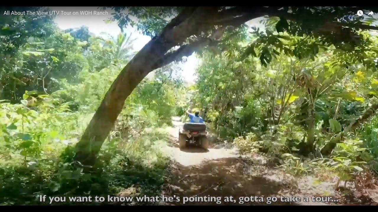 All About The View UTV Tour on WOH Ranch
