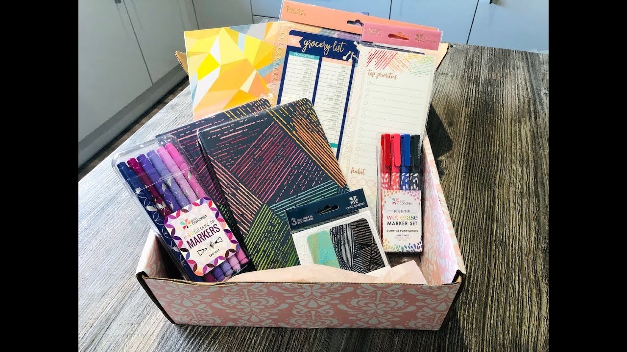 Erin Condren 2020 Life Planner Haul
