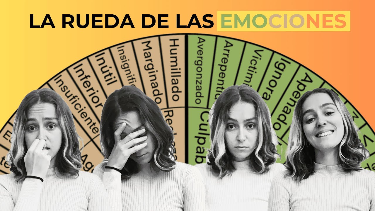 🌈 La Rueda de las Emociones || Materiales de Psicoterapia