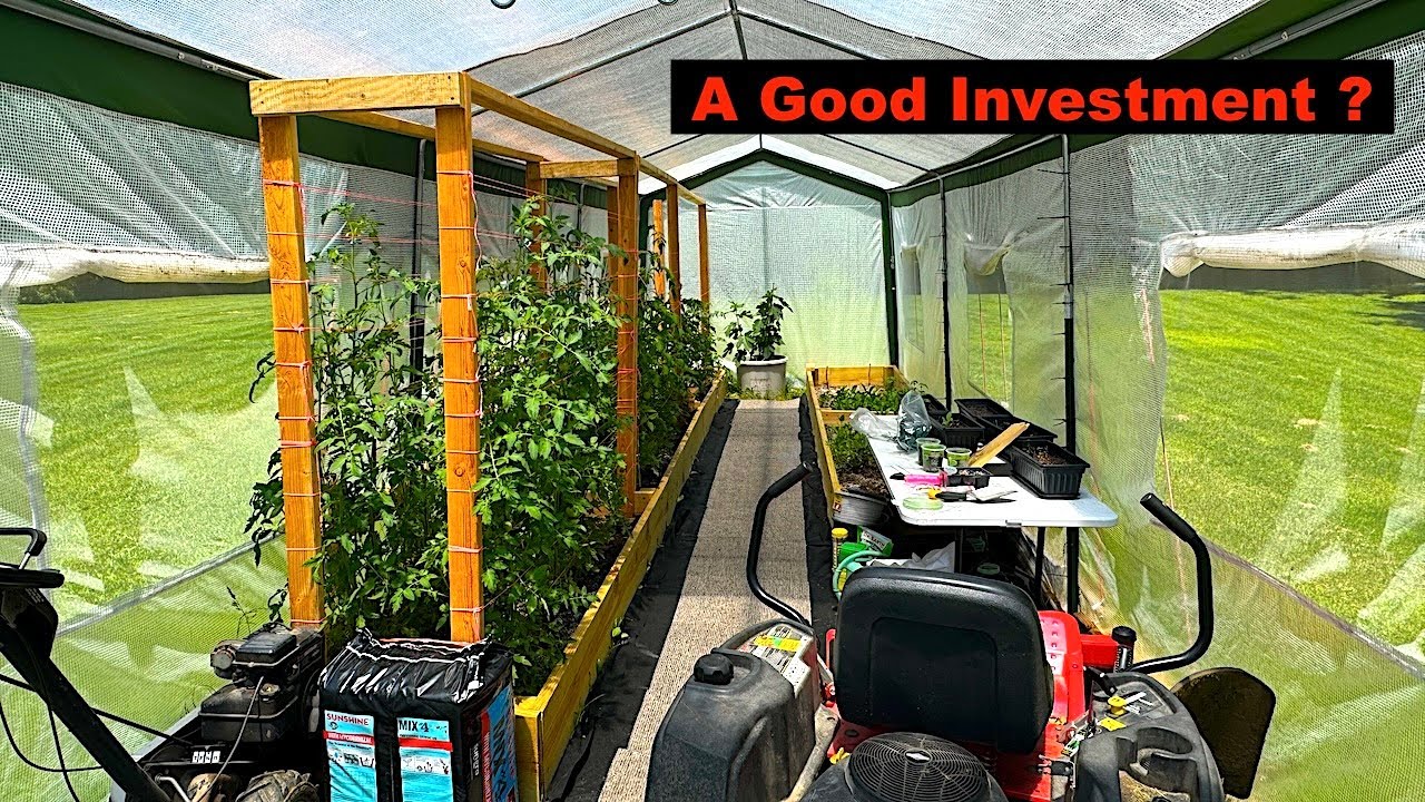 How A $200 Greenhouse From Amazon Completely Transformed My Life !
