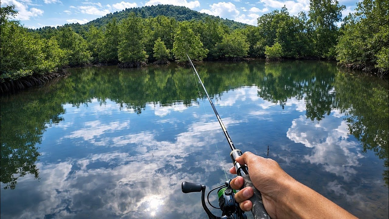 Sangat Mudah Mendapatkan Ikan Target, mancing di area bakau ini