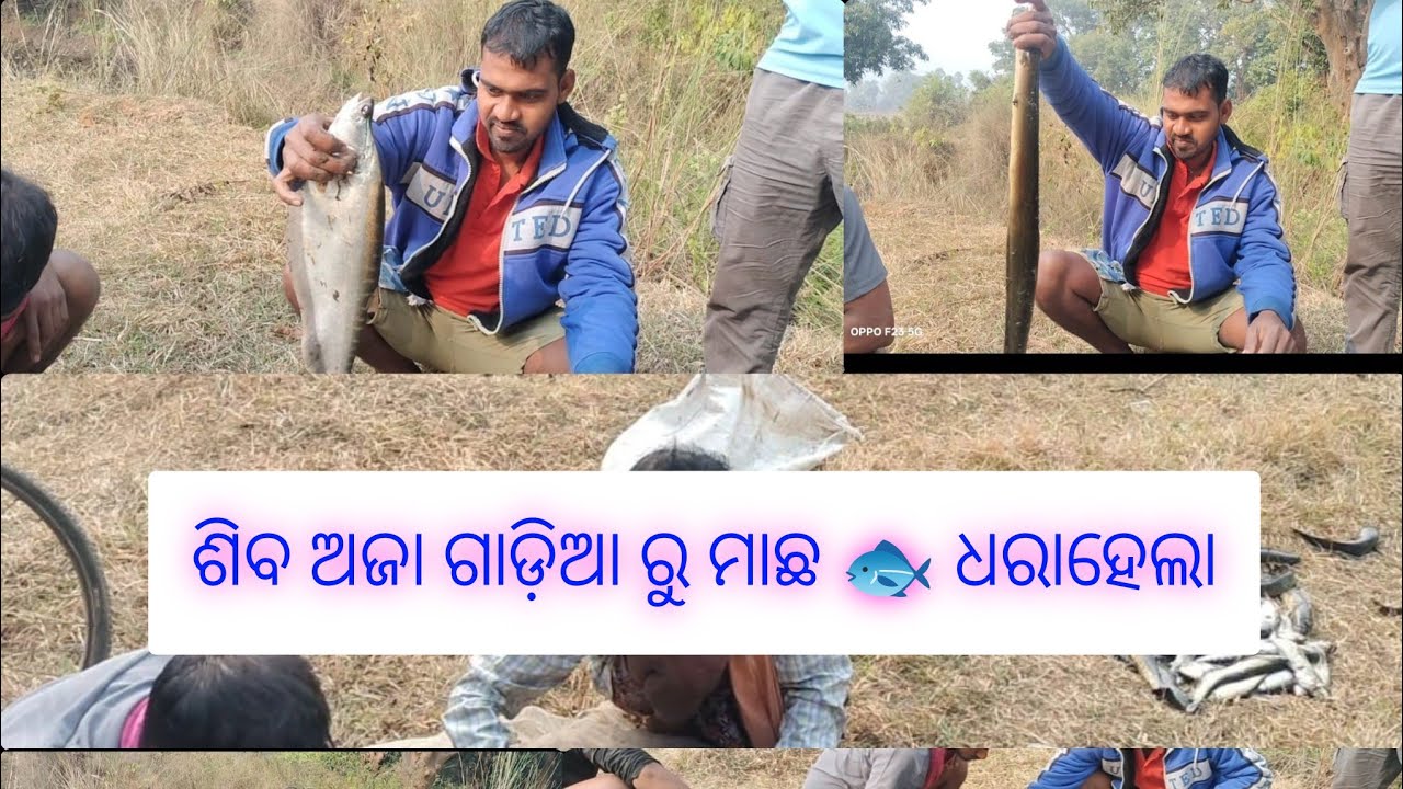 Siba aja gadia macha 🦈🦈🦈