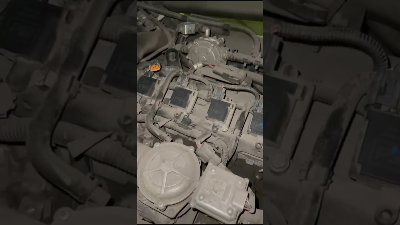 Forklift Repair in Miami, Florida