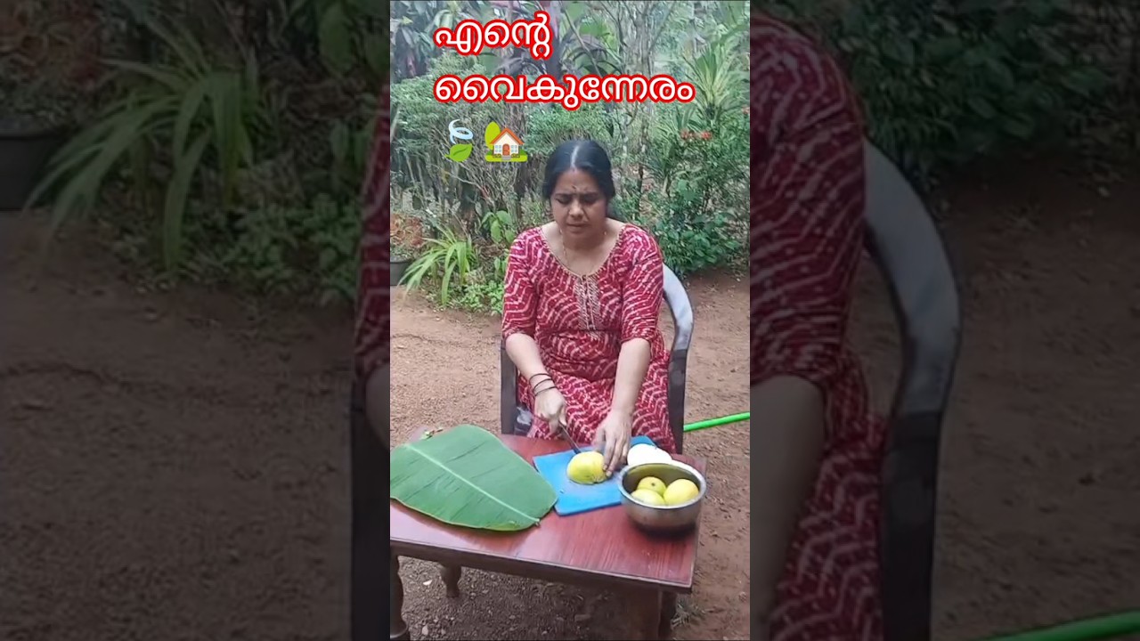 വീട്ടിലെ നാരങ്ങ പറിച്ചപ്പോൾ.. #shortsfeed #food #family#youtubeshorts #housewifelife #home