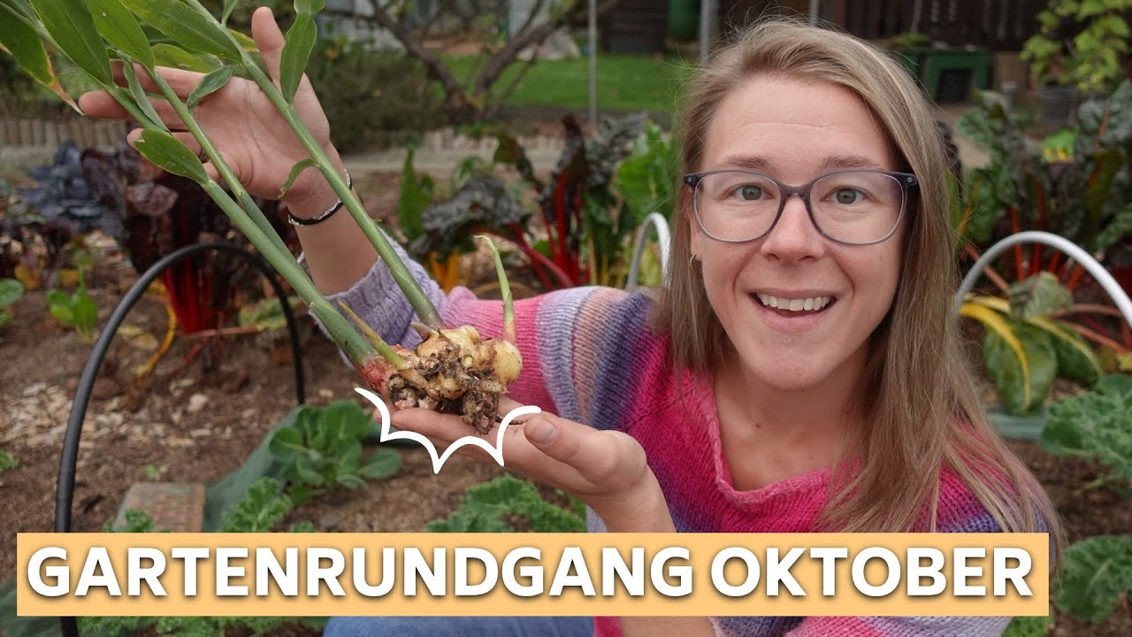 Gartenrundgang im Oktober: Was wächst noch im Gemüsegarten? Paprika & Ingwer JETZT ernten! 🍅