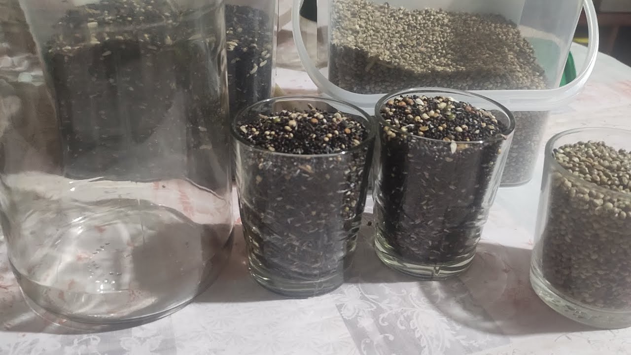 germinar semillas de forma segura1, tutorial para fabricar el germinador