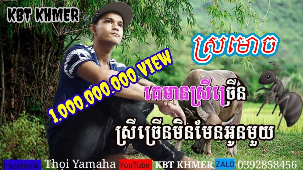 ស្រមោច Cha Cha. Sro moch  Cha Cha Hay Nhất 2021