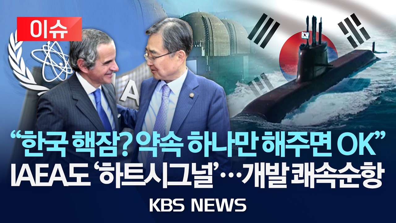 [이슈] IAEA 