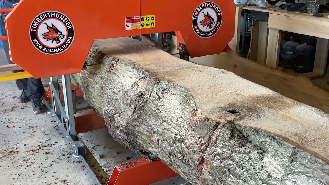 Rs31g cutting large oak log.