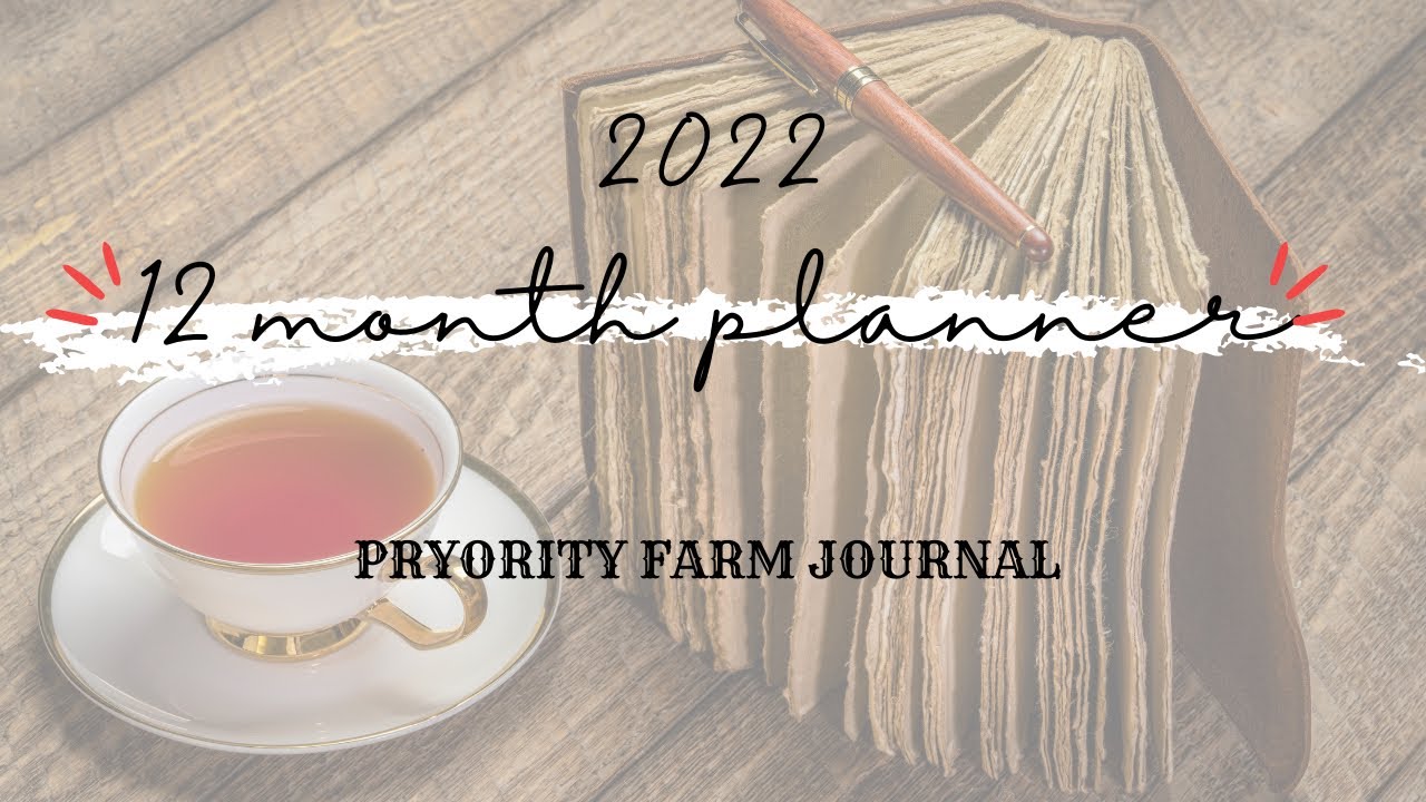 Planner Perfect 12 Month Planner (How I use the extra pages) / Planner Flip