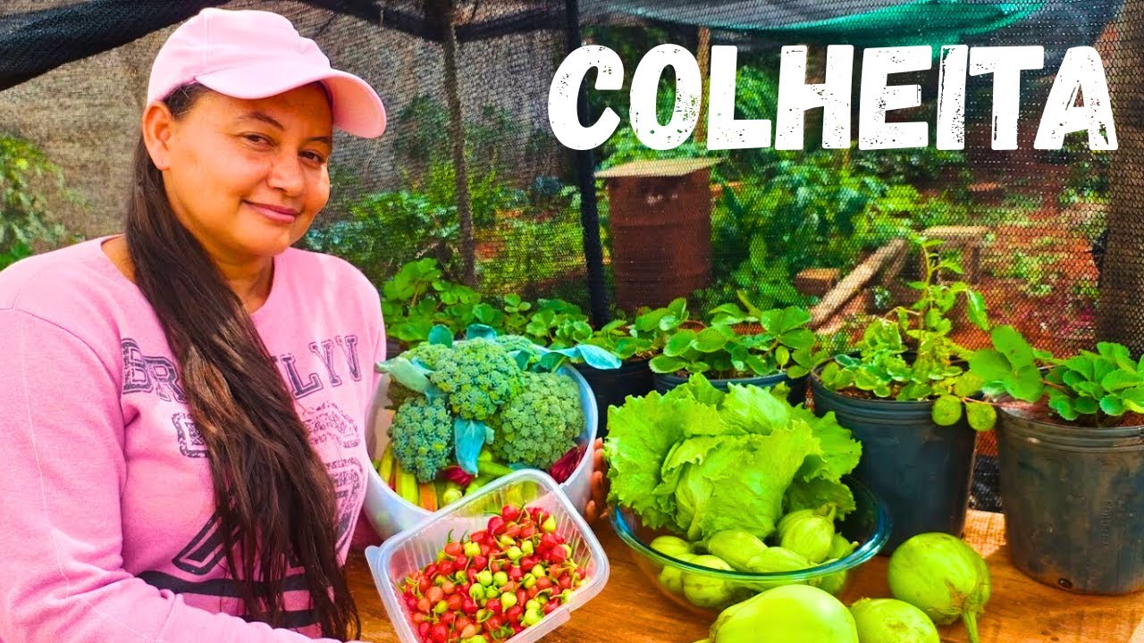 . 🍅 COLHEITA ORGÂNICA! Veja o Que colhi na Minha Horta Hoje! - Com Ivone Lima