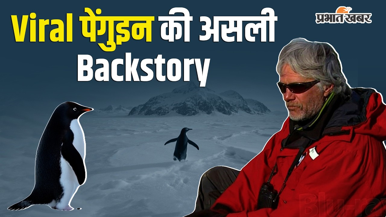 Antarctica में ये PENGUIN अकेला क्यों चल रहा है? Viral Penguin Story Explained Death| Documentary