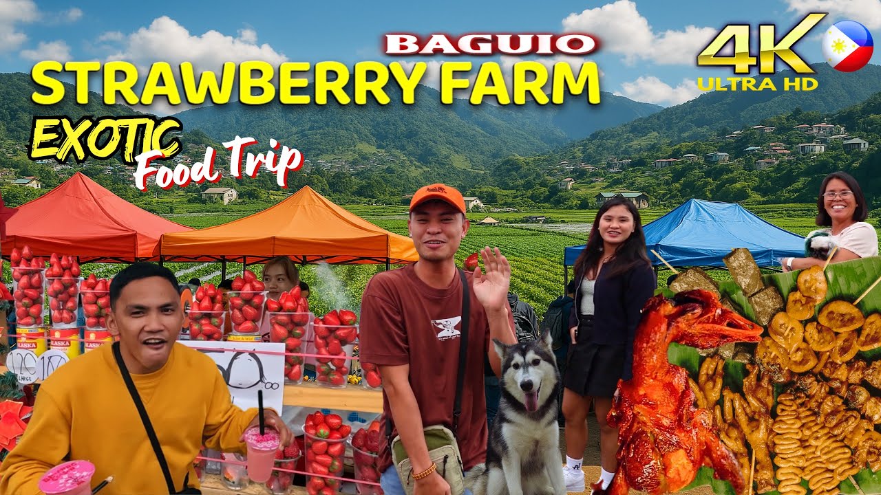 [4K] La Trinidad, Benguet Strawberry Farm Tour: Street Food Trip & Scenic Walk | Baguio, Philippines