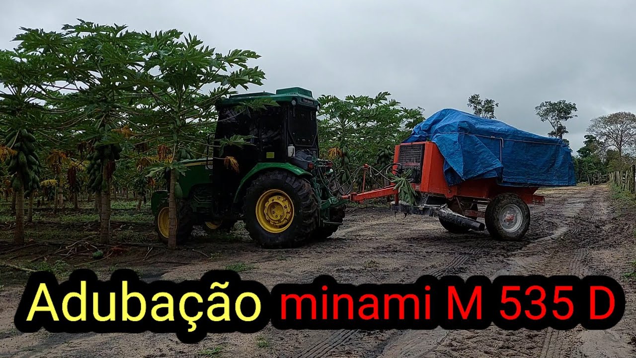 Adubação mecanizada em lavoura de mamão || Minami M 535D