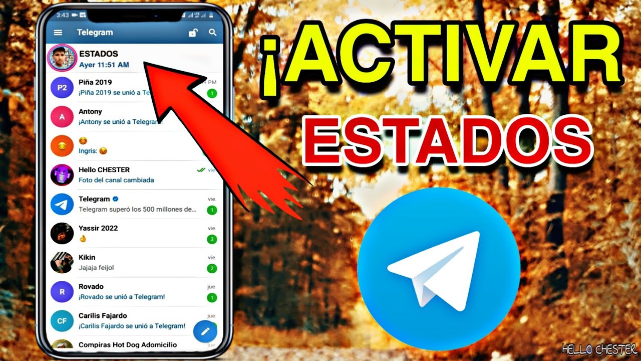 &iexcl; Como ACTIVAR los ESTADOS EN TELEGRAM 2021