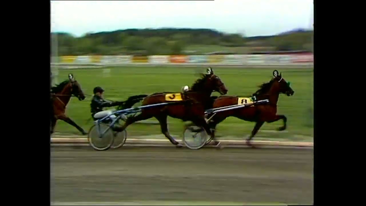 Elitloppet 1977