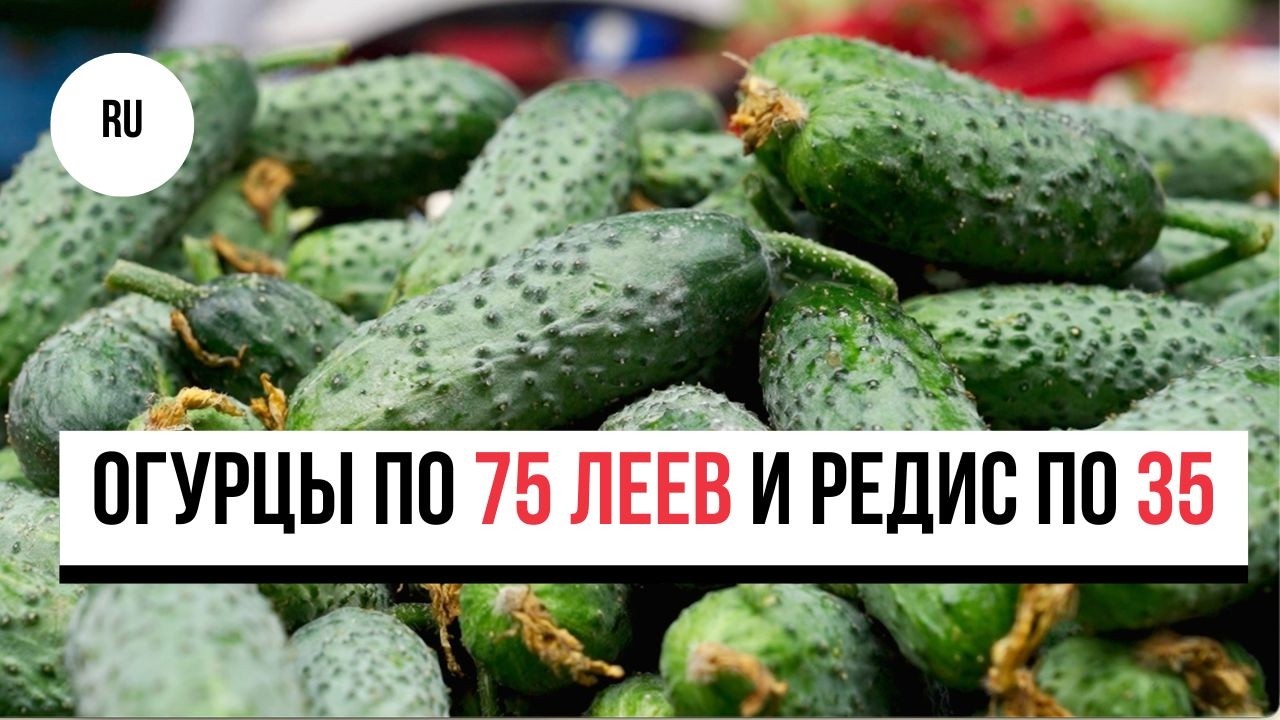 Огурцы по 75 леев и редис по 35: первые молдавские овощи появились на рынке