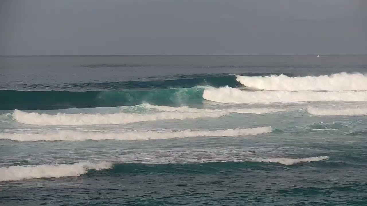 Laniakea 12/20/25 Surfline ride 2