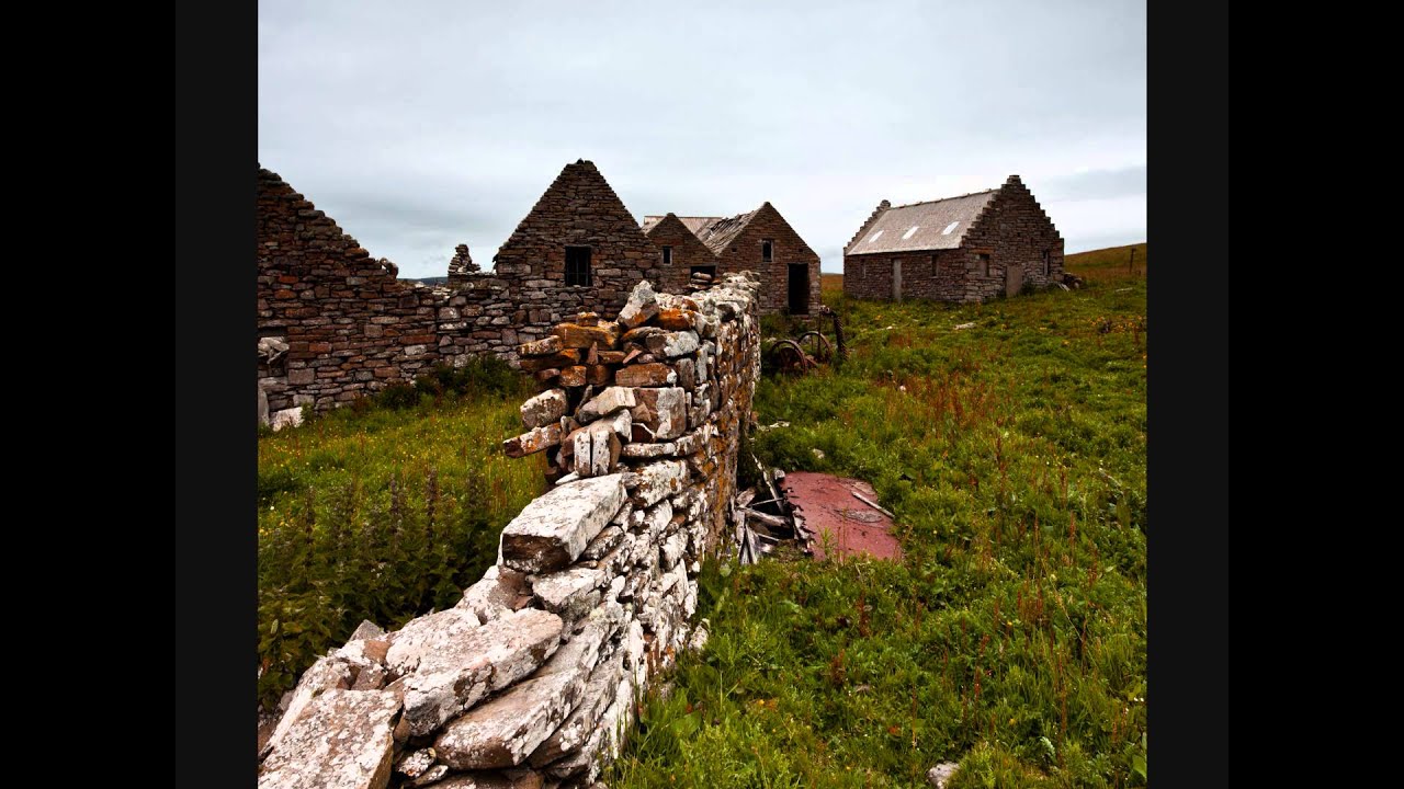 Swona - abandoned island of feral cattle HD