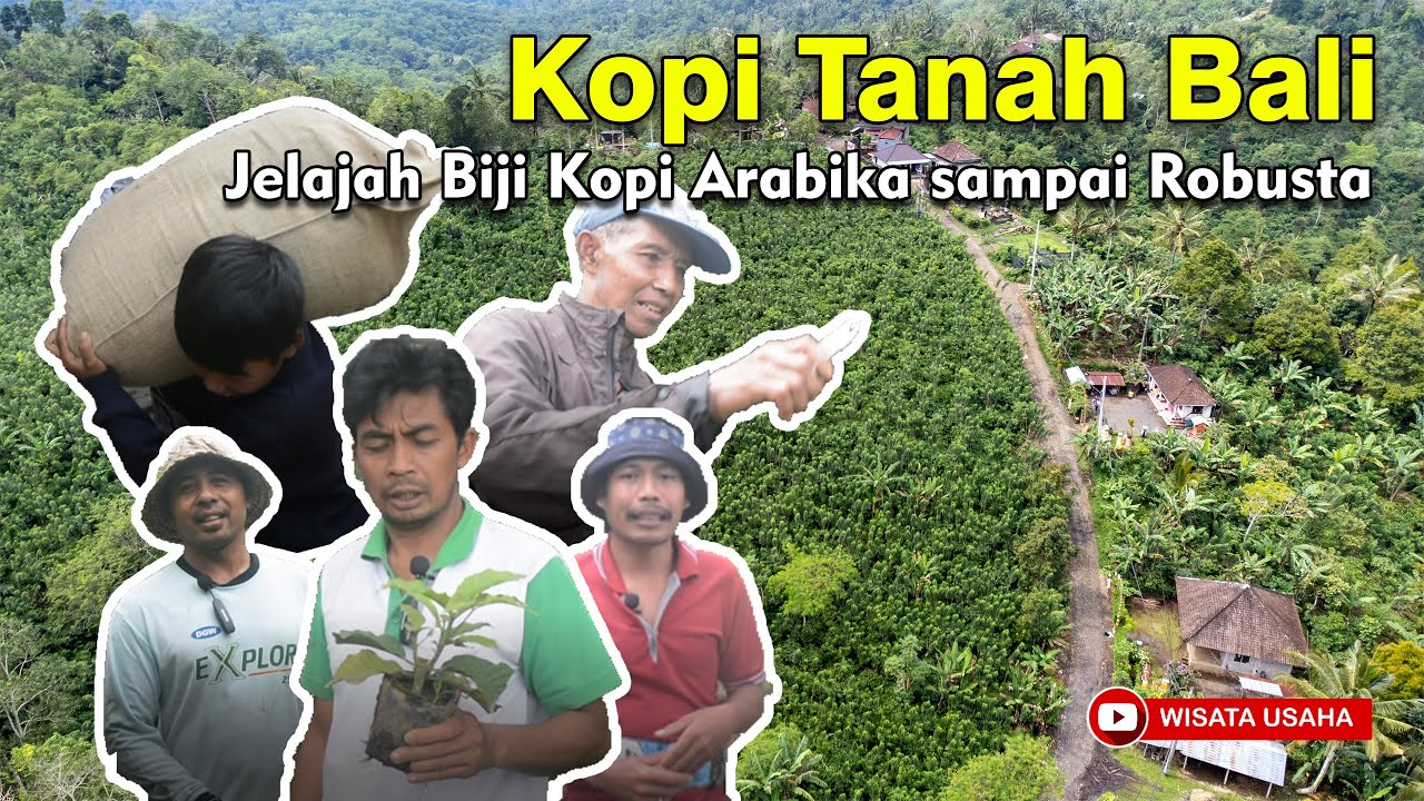 Arabika Kintamani sampai Robusta Pupuan - Perjalanan singkat explore Petani Kopi Tanah Bali
