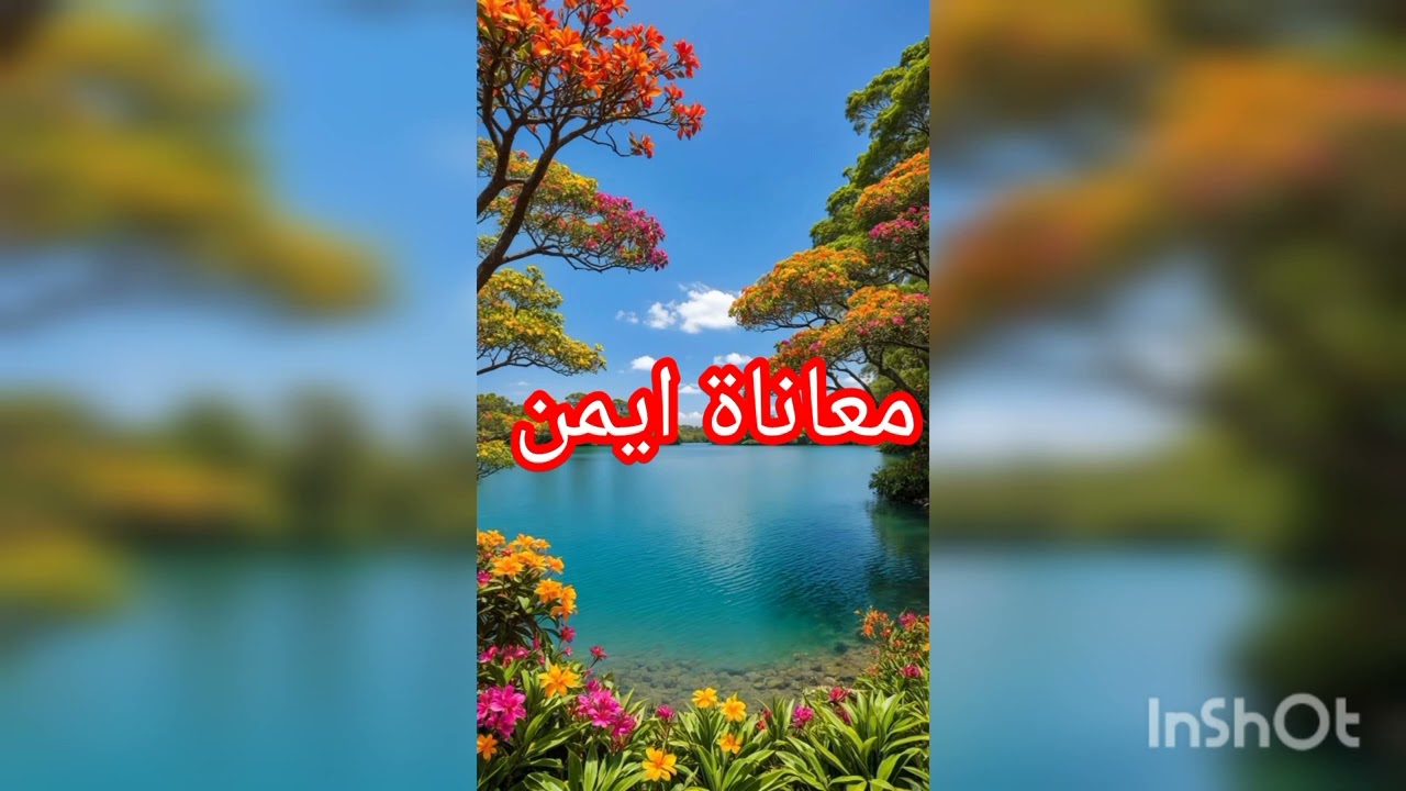 جدران الوسواس . قصة ايمن مع فكرة ظل حبيسا لها  