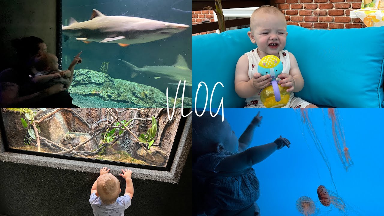 Vlog: Trip to the Aquarium & Reptiland! Friends baby shower & bridal shower!!