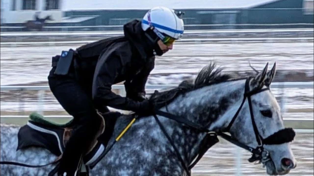 Breezing a horse from start to end.