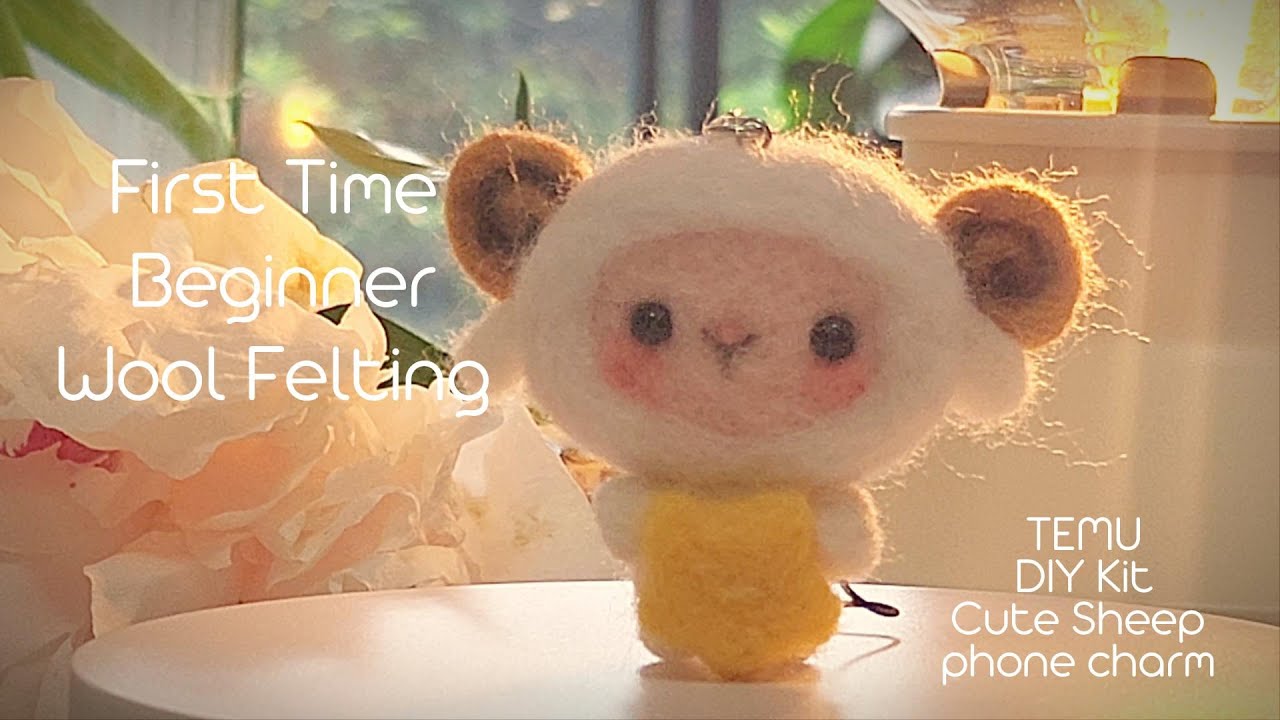 ☁️Unboxing Sheep Wool Needle Felting DIY Kit | Temu Haul | First time Beginner