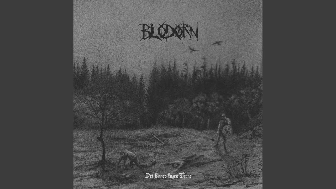 Blodslit For Lit