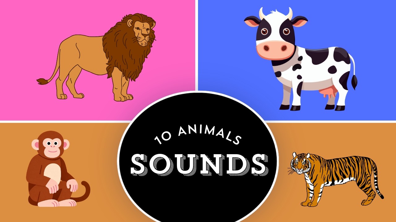 10 звуков животных для детей 🐶🐱 Изучаем животных и их звуки | Веселое обучающее видео