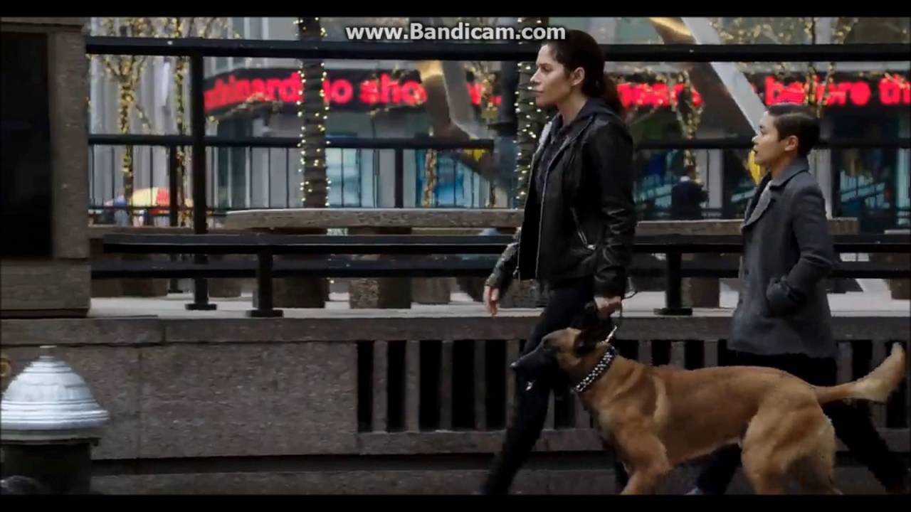 Person of Interest - 5x13 Ending